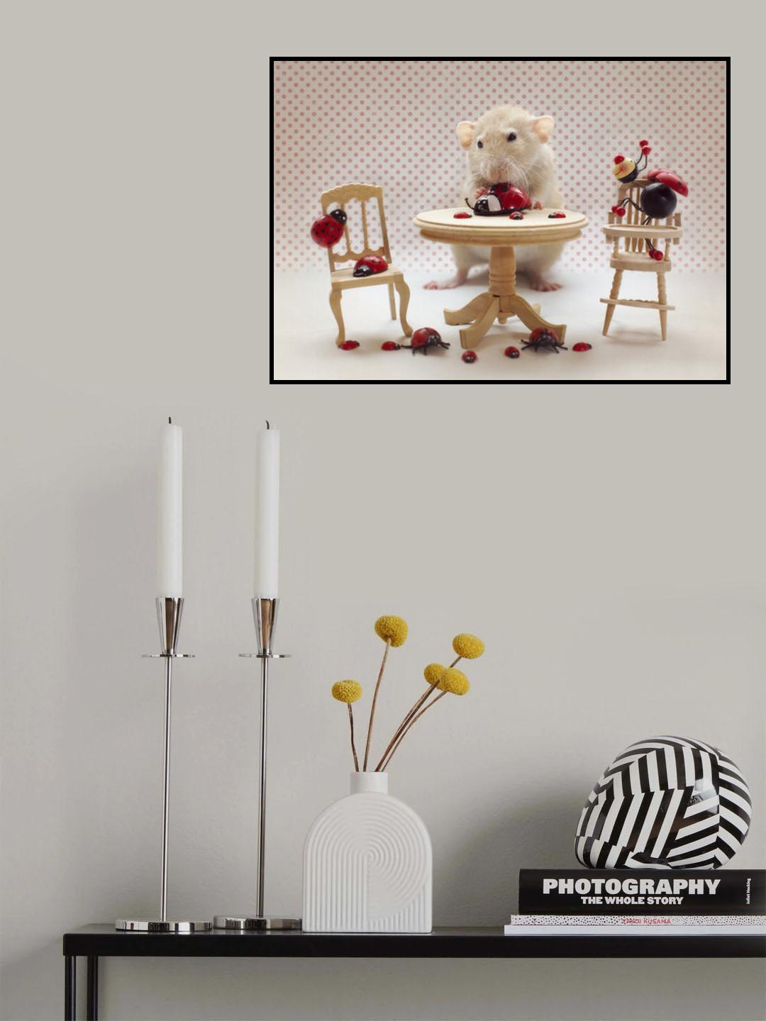 The Ladybird-collector Poster och Canvastavla