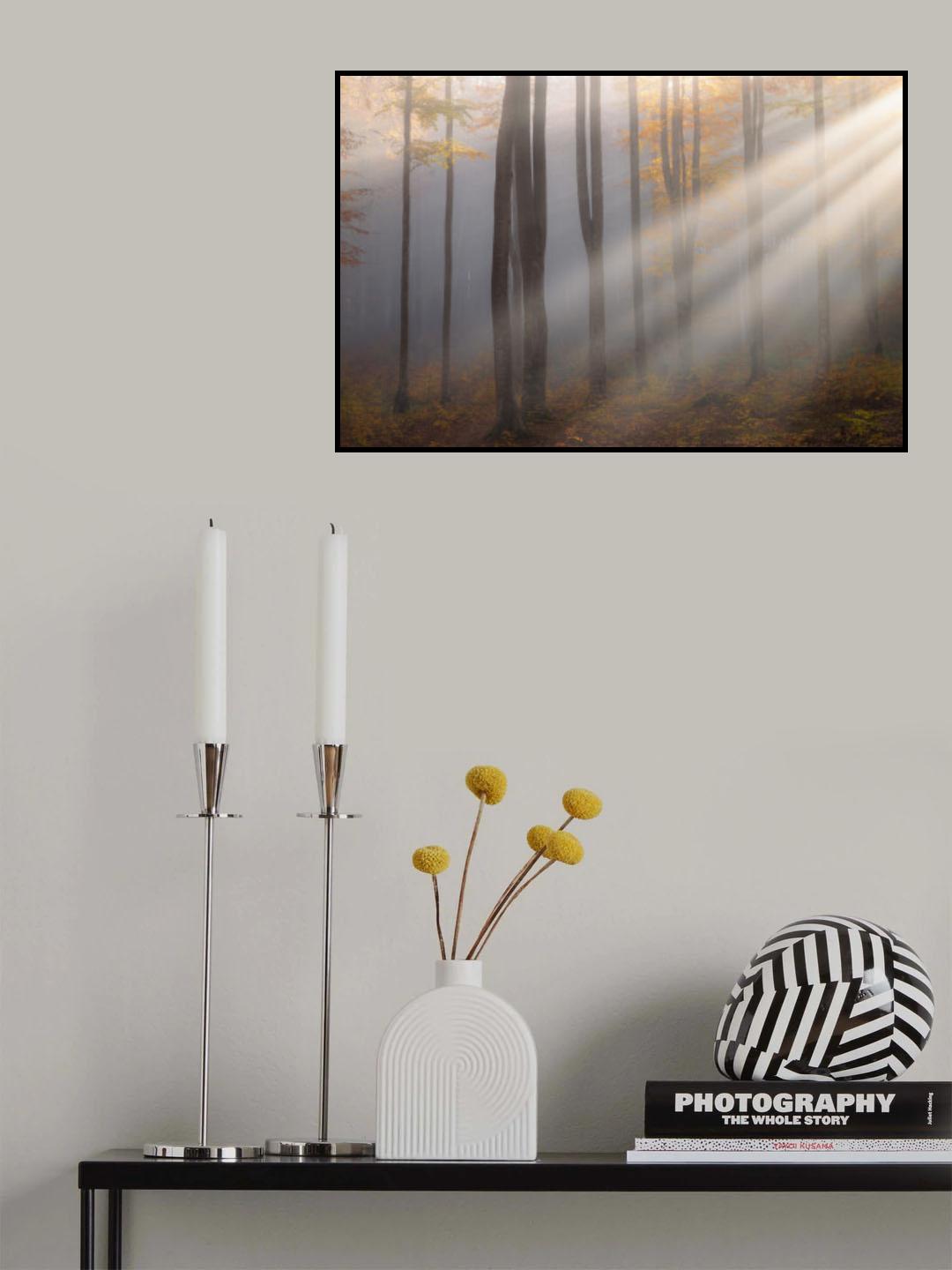 Light around the corner Poster och Canvastavla