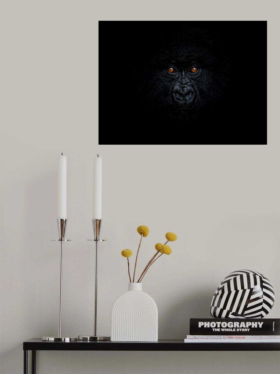 Baby Mountain Gorilla Poster och Canvastavla
