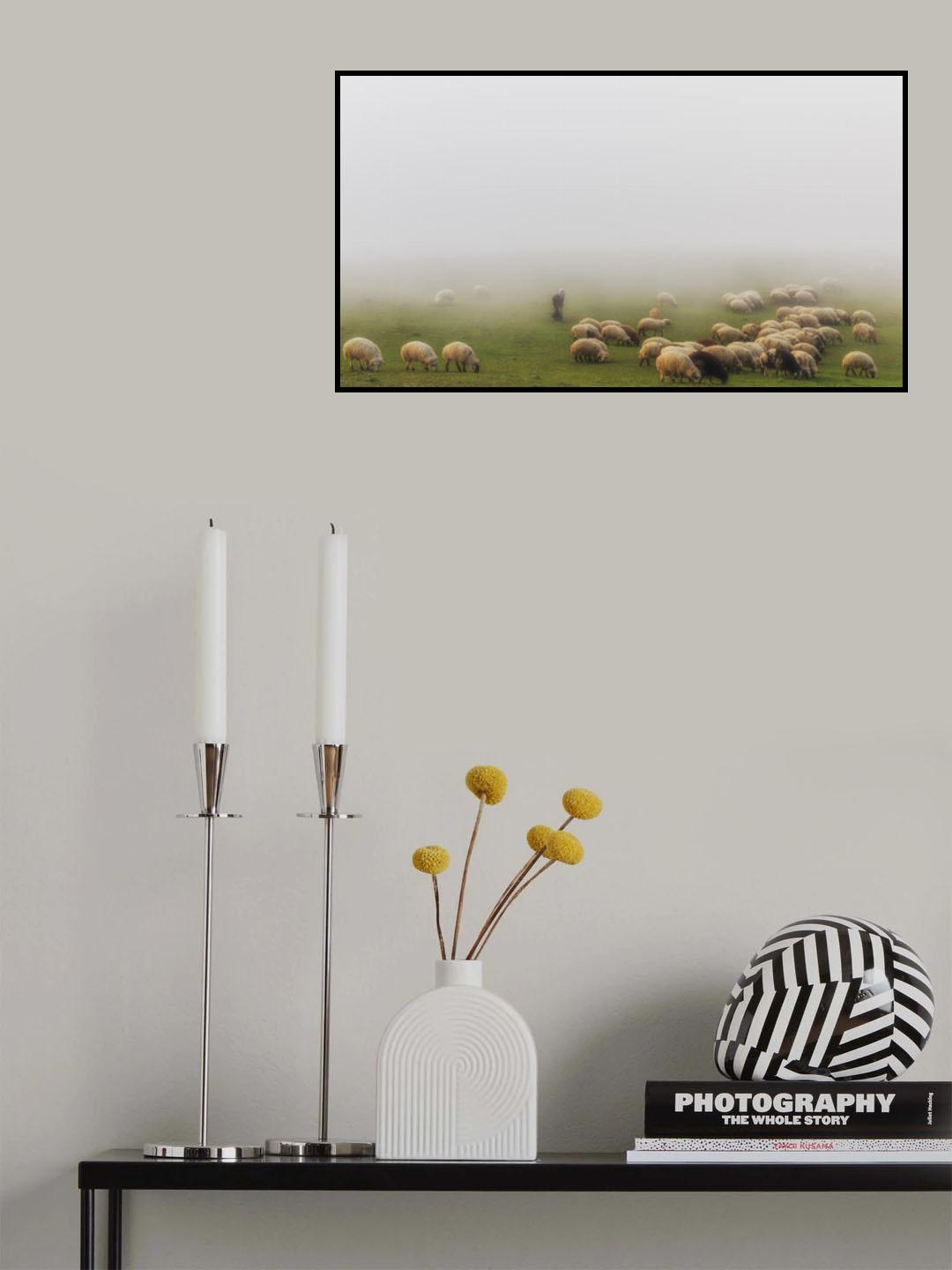 Old shepherd and fog Poster och Canvastavla