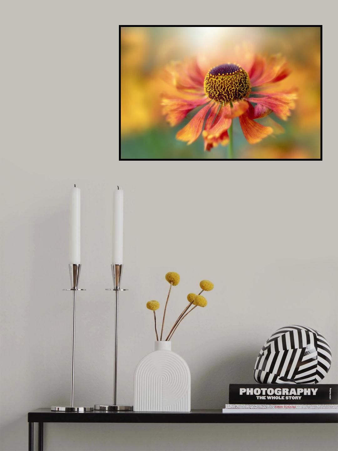 Helenium Poster och Canvastavla
