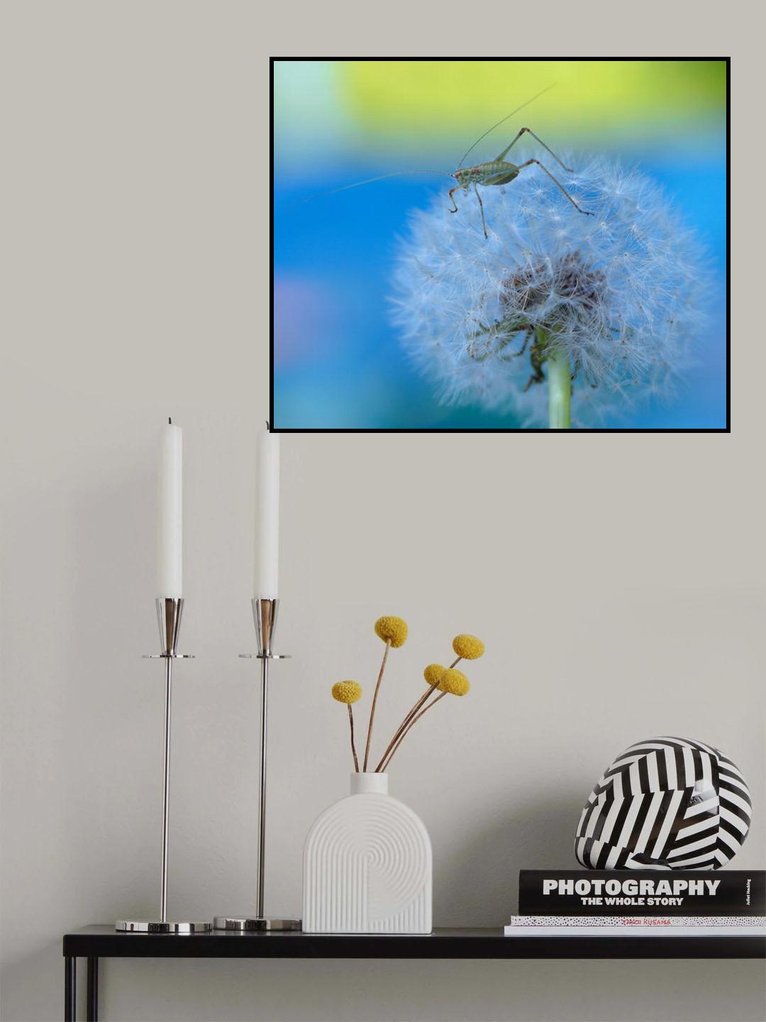 The blue Hour... Poster och Canvastavla