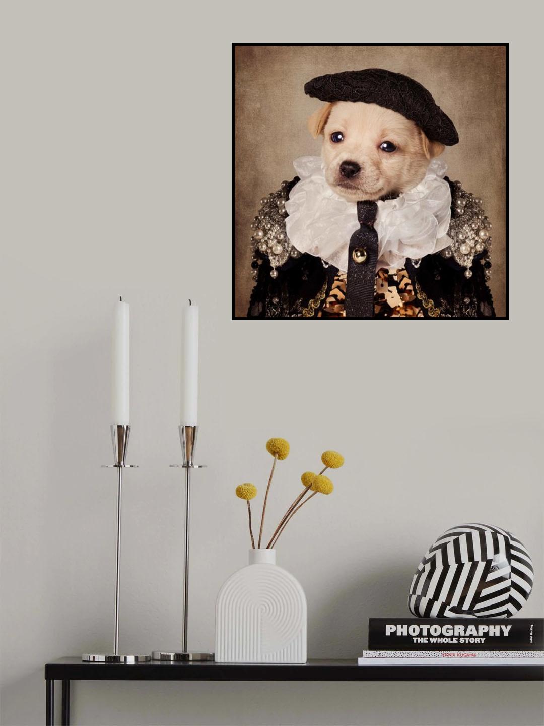 Shelter Pets project - Mia Poster och Canvastavla