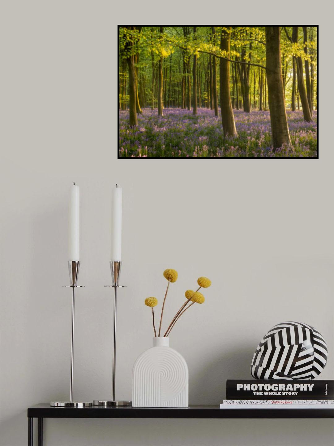 Bluebell Woodland Poster och Canvastavla