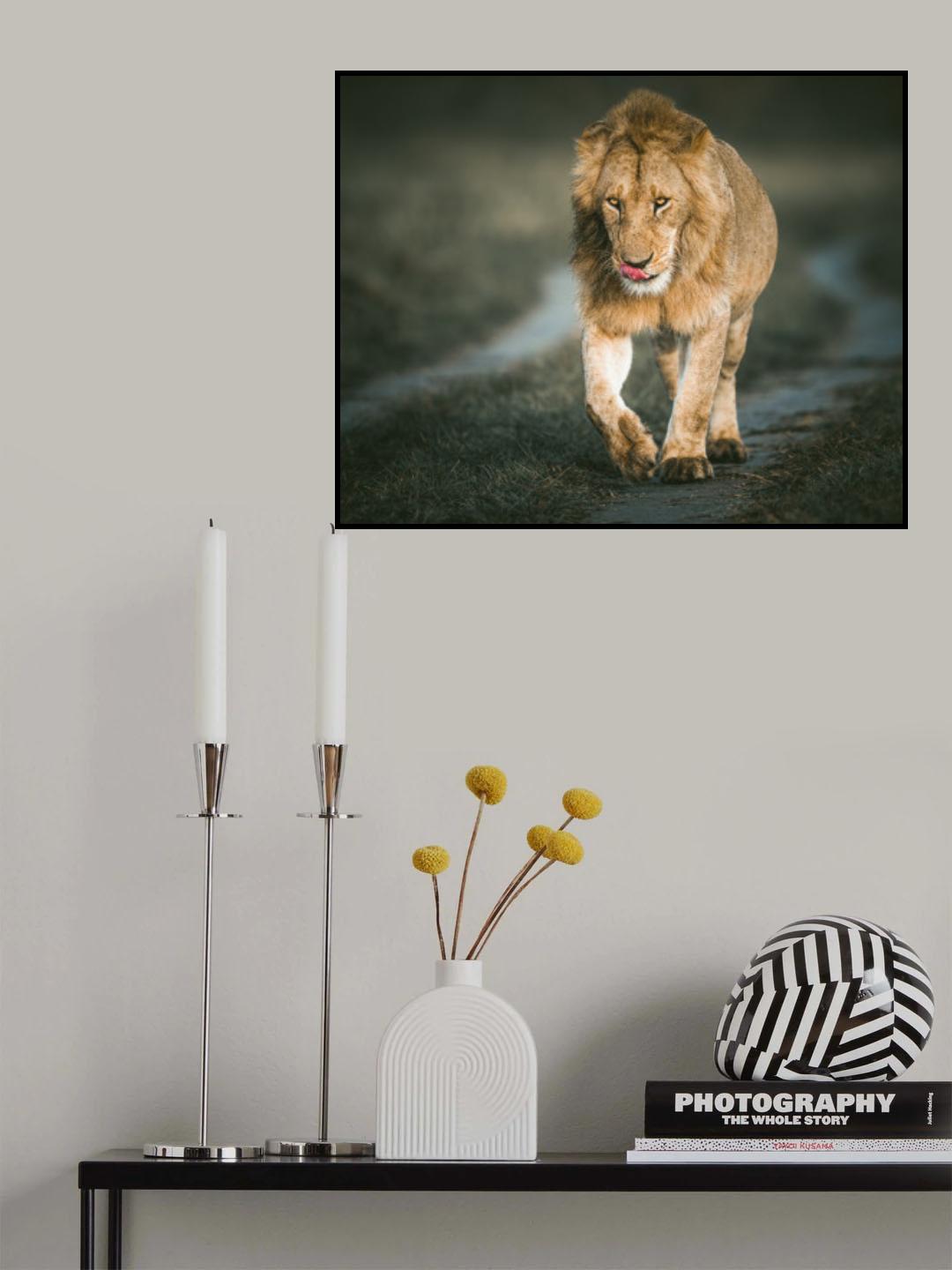 He is king Poster och Canvastavla