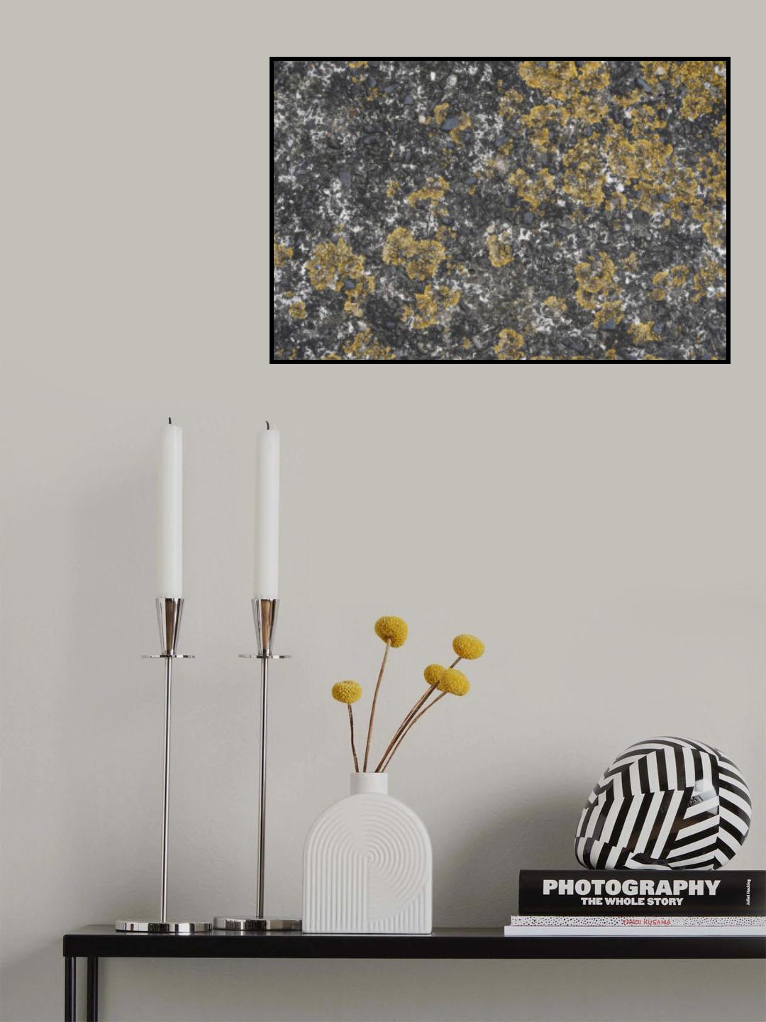 Tex Surface S29 Poster och Canvastavla