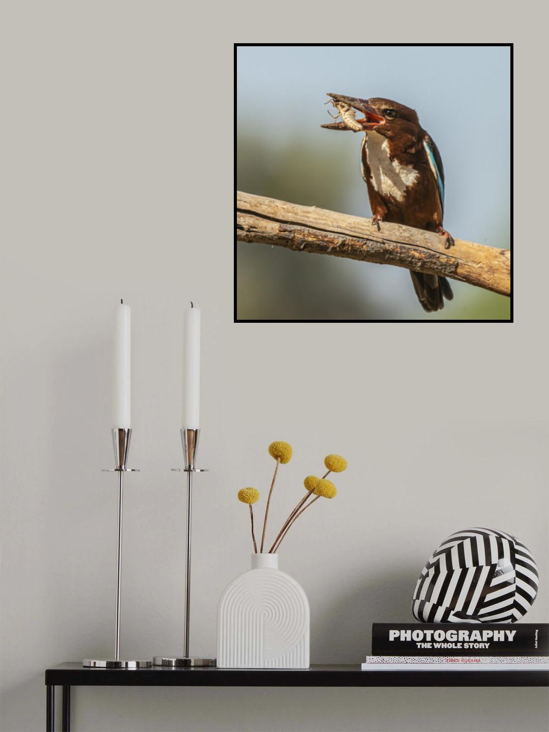 Kingfisher Poster och Canvastavla