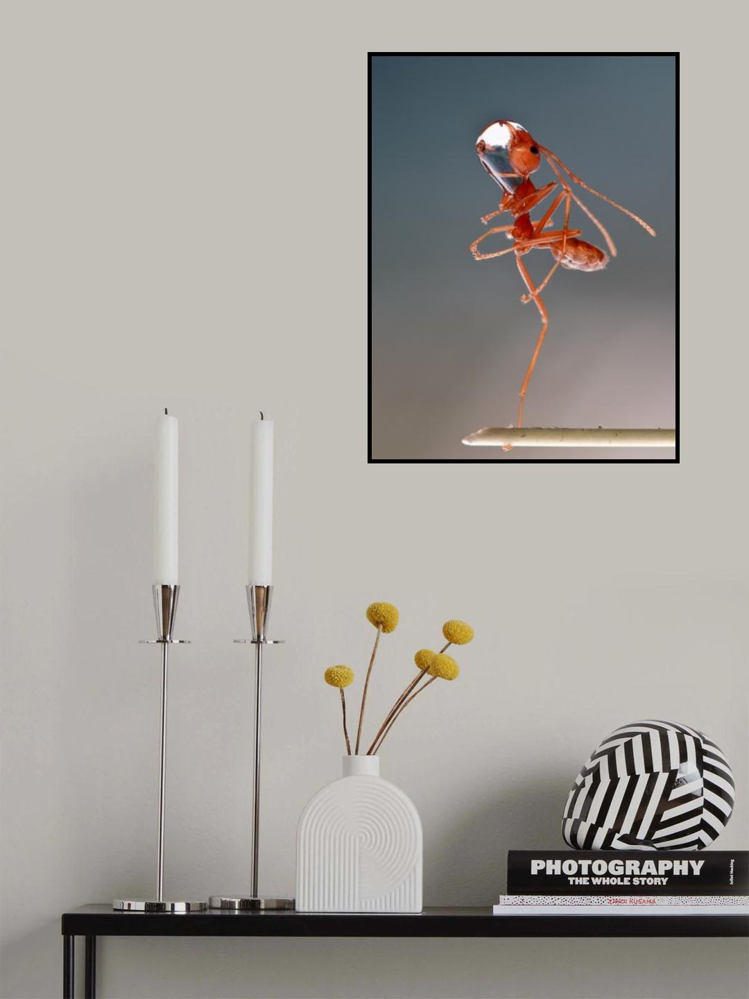 dance with dew Poster och Canvastavla