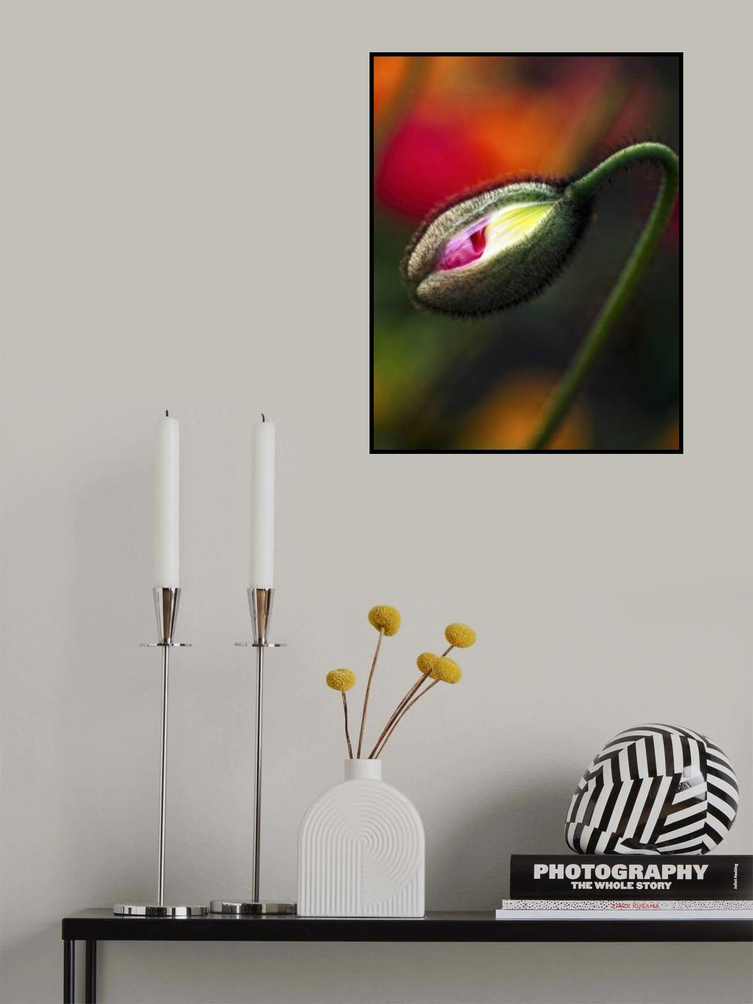 Spring’s here Poster och Canvastavla