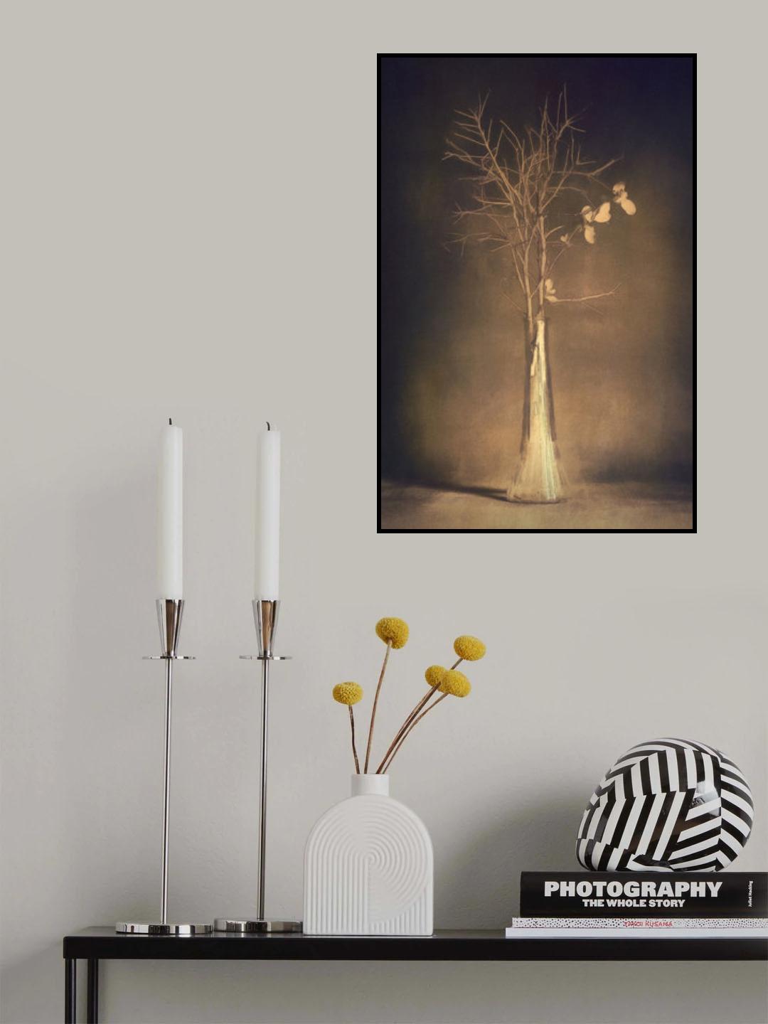 Shine Bright Poster och Canvastavla