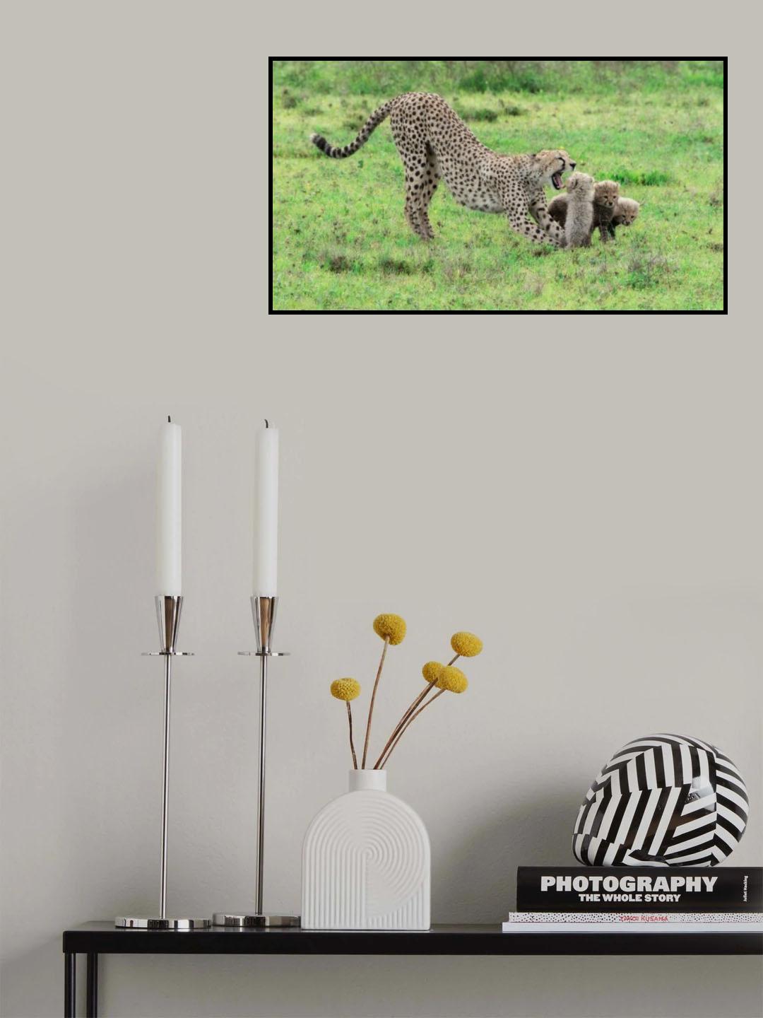 Roaring Poster och Canvastavla