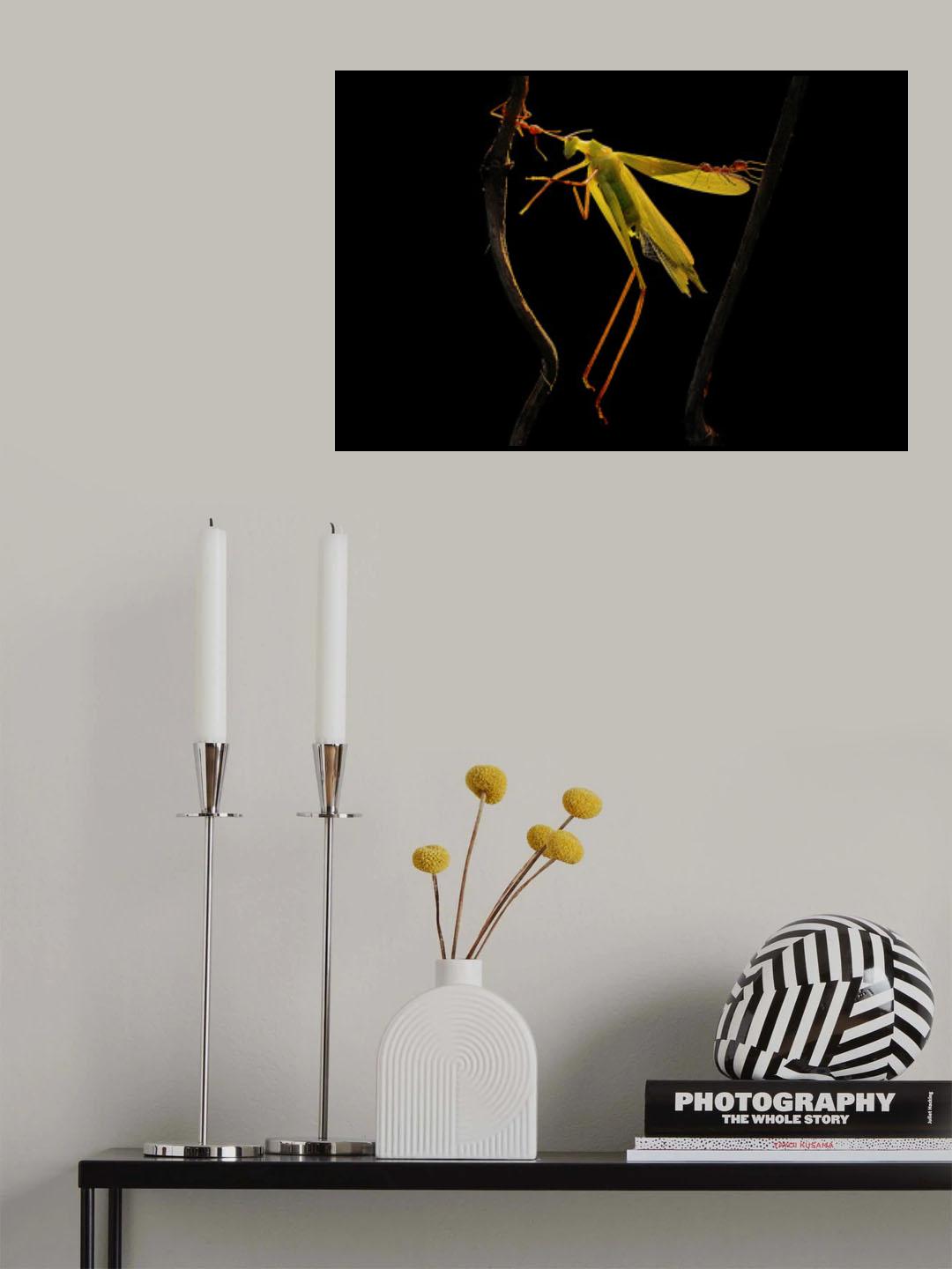 Two on one Poster och Canvastavla
