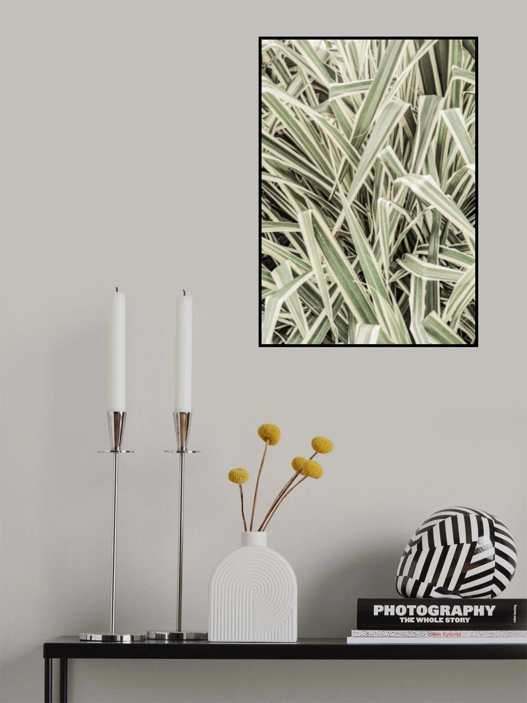 Jazzy Jungle Poster och Canvastavla