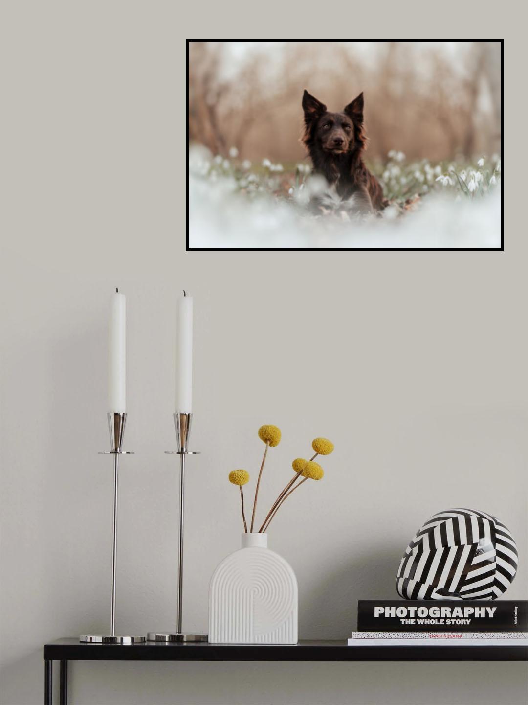 Nilay Poster och Canvastavla
