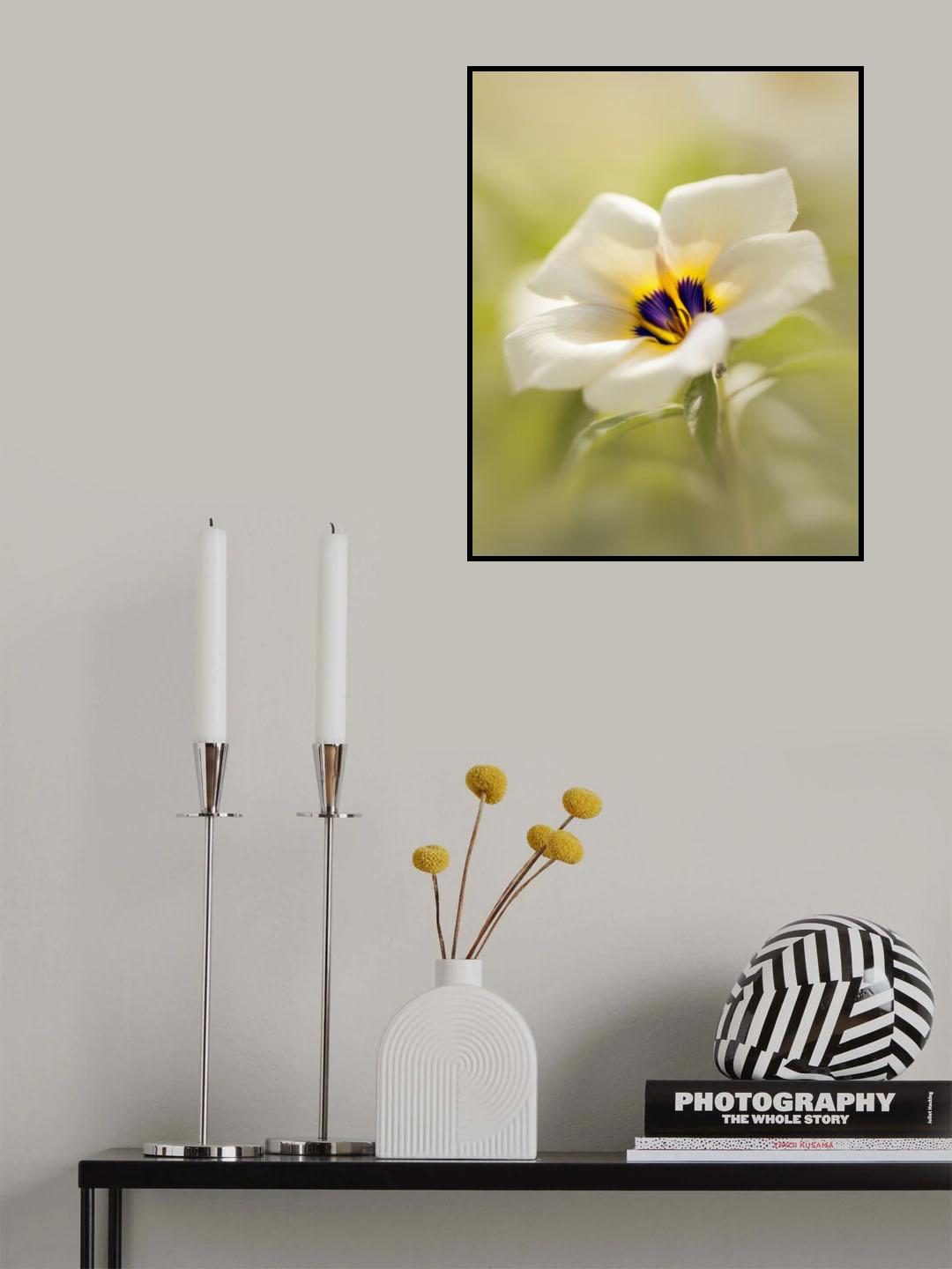 Blossoming Beauty Poster och Canvastavla