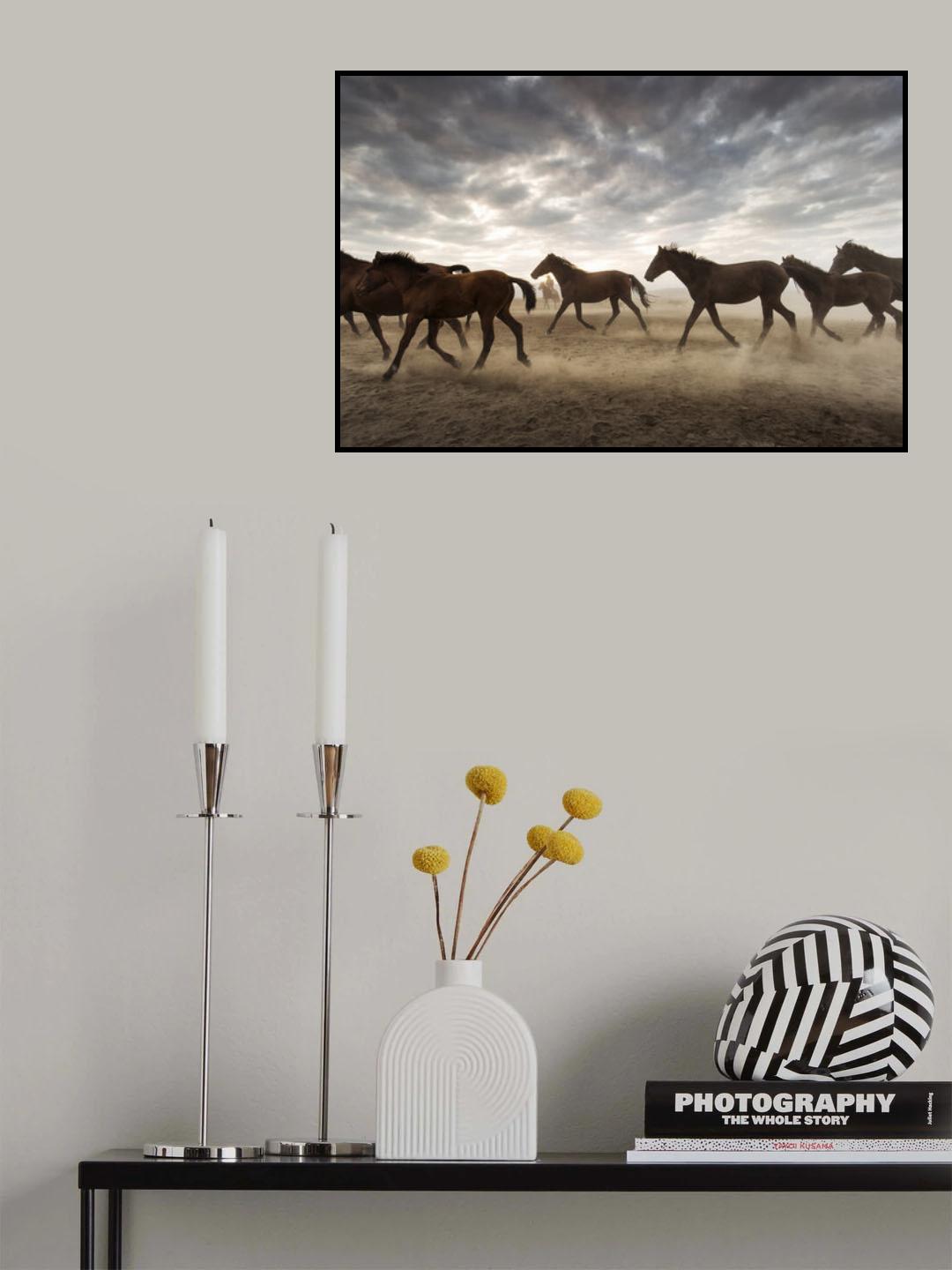 Wild horses Poster och Canvastavla