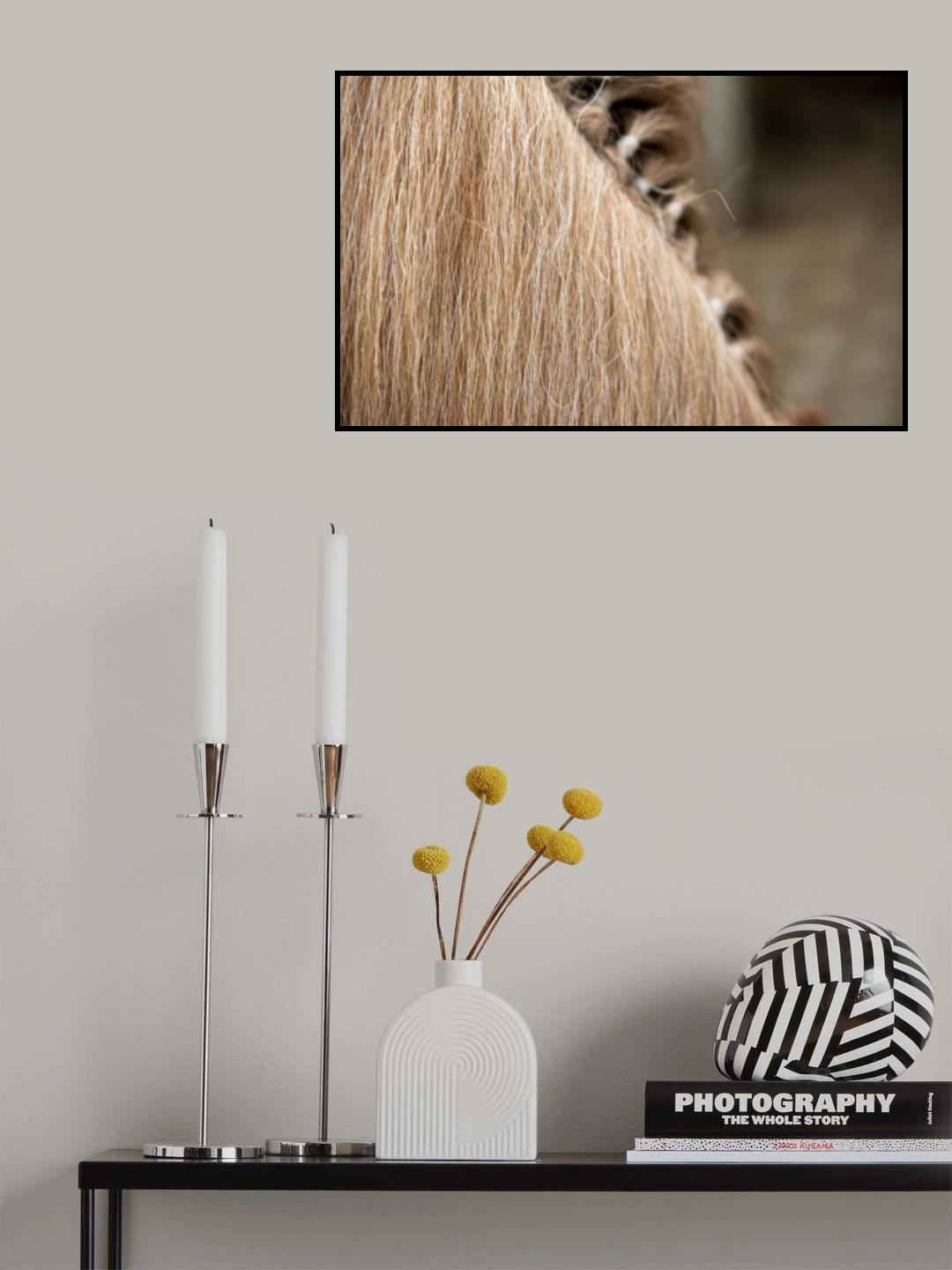 Horse 5 Dsc5498 Copy Poster och Canvastavla