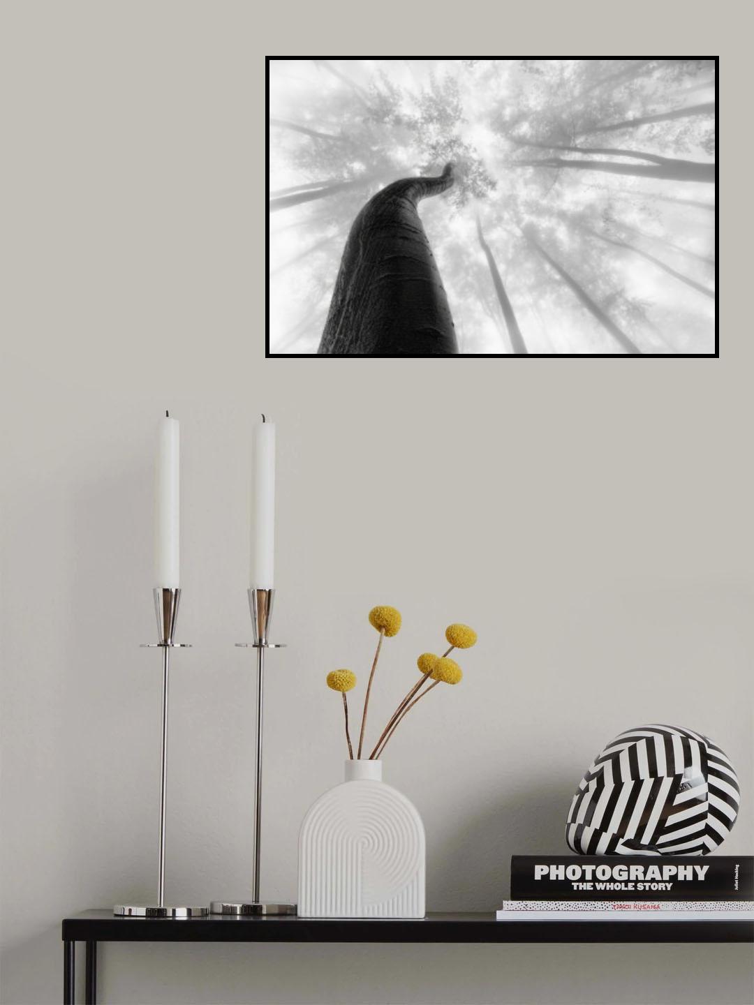 Treetrunk Poster och Canvastavla