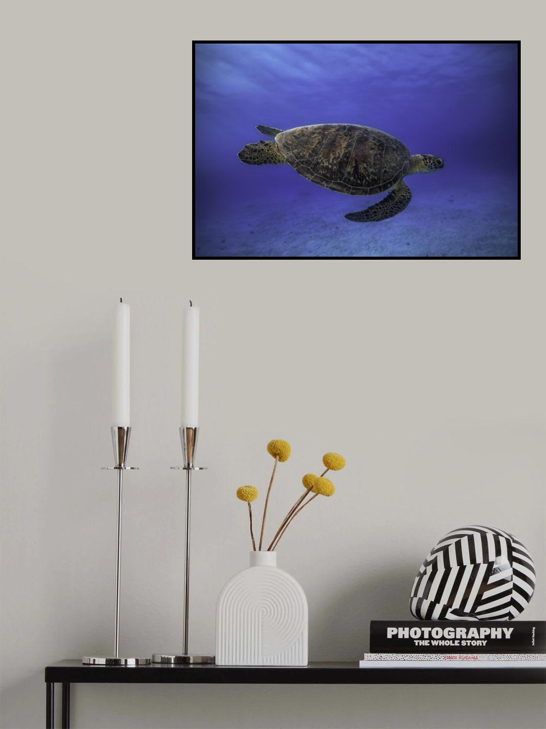 Green turtle in the blue Poster och Canvastavla