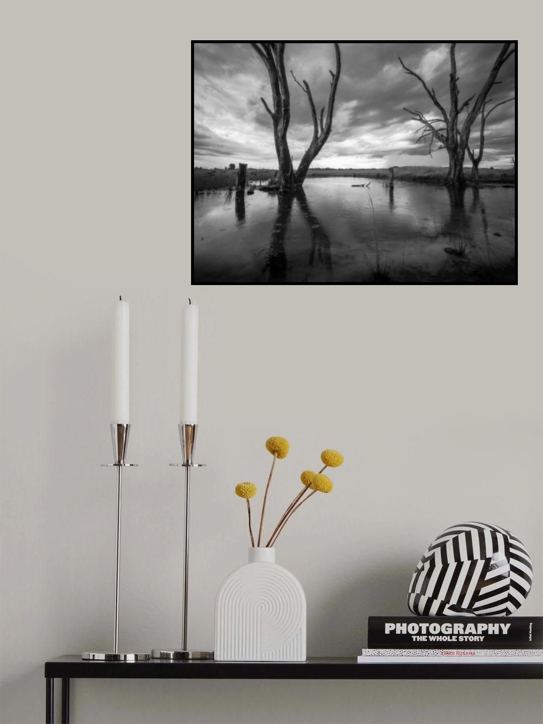 Wilderness old tree Poster och Canvastavla