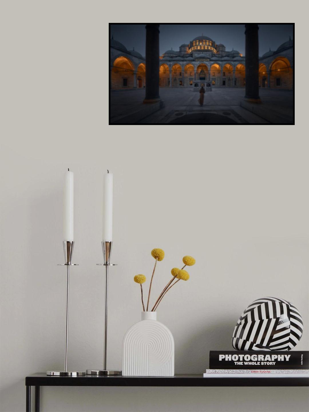 Naboo Royal Palace Poster och Canvastavla