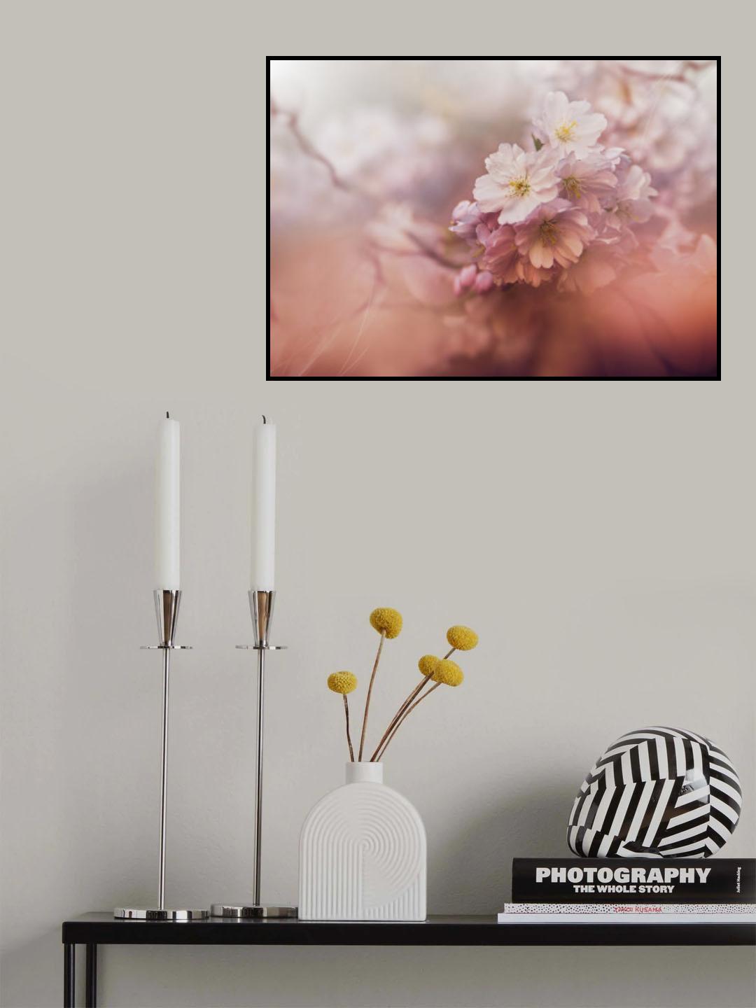 Sakura Poster och Canvastavla