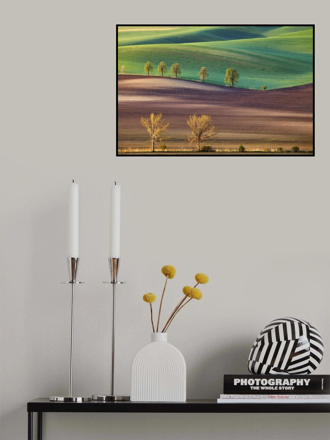 ... Poster och Canvastavla