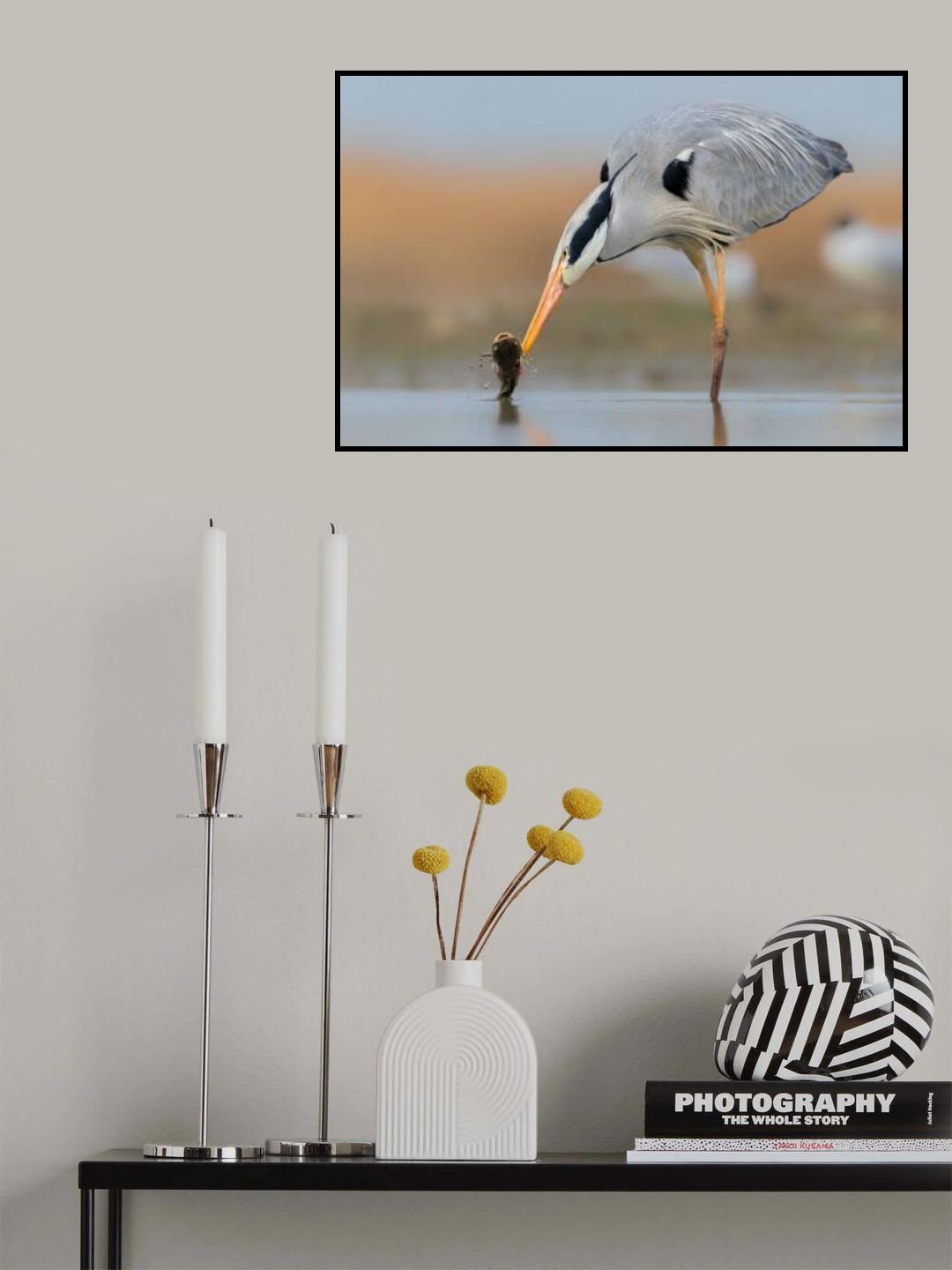 Catching Poster och Canvastavla