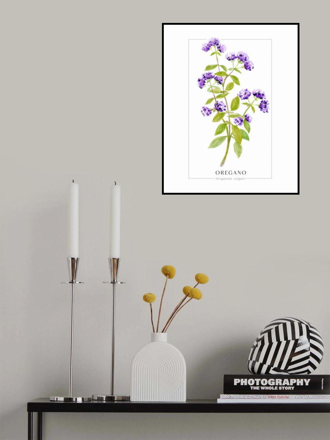 Oregano II Poster