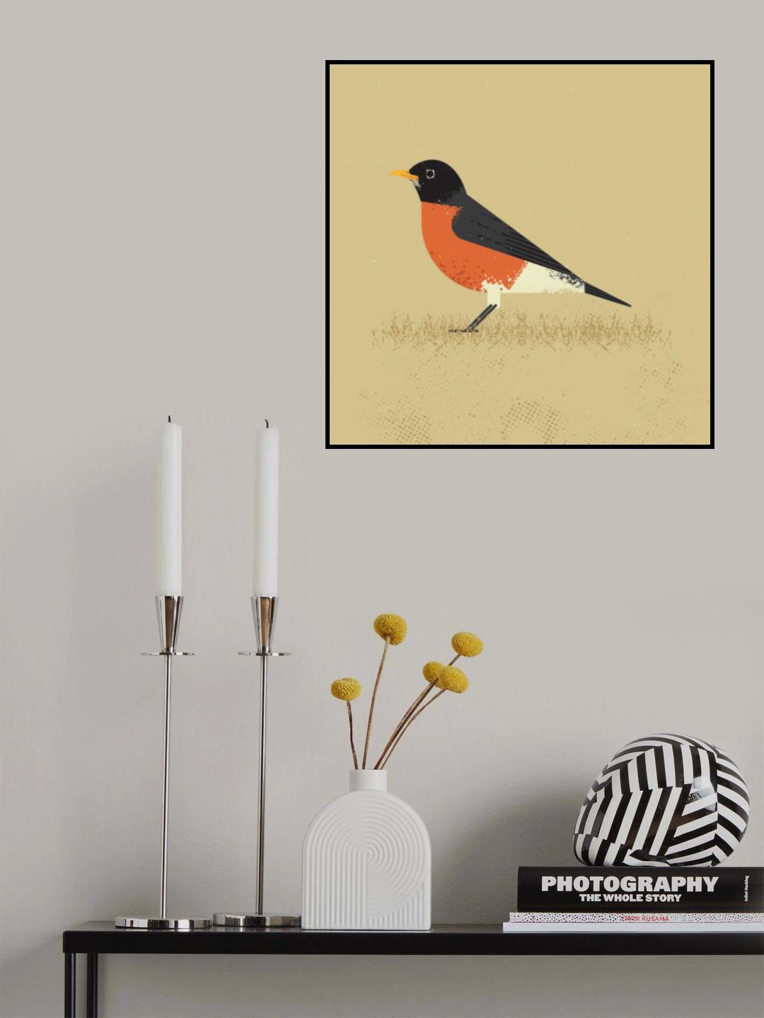 American Robin Poster och Canvastavla