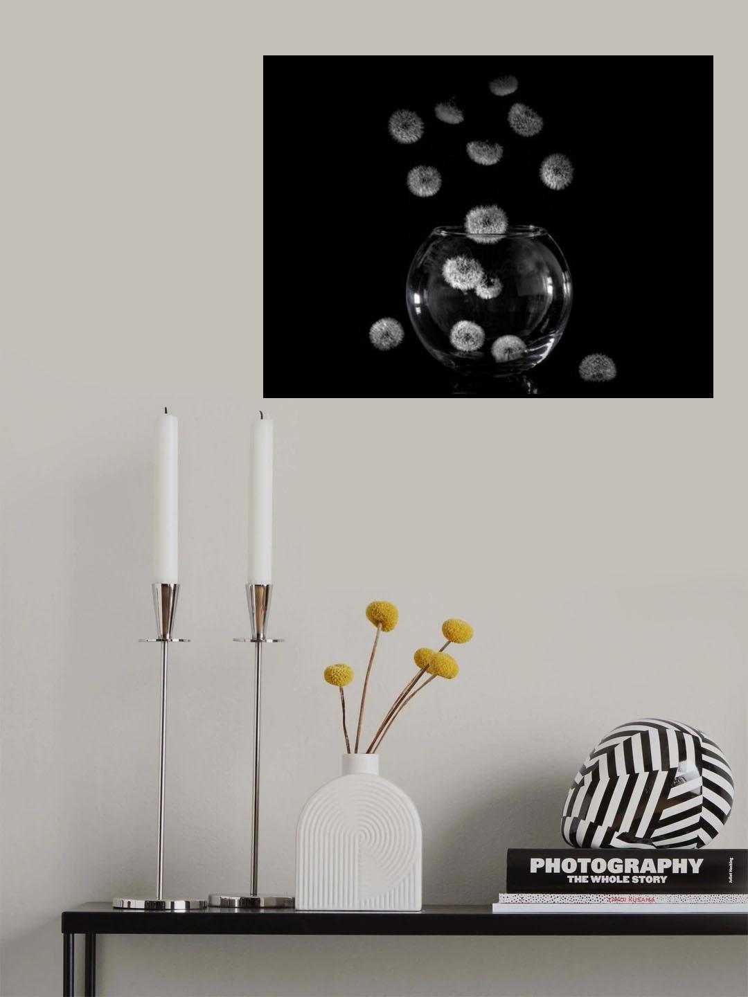 Dandelion catcher Poster och Canvastavla