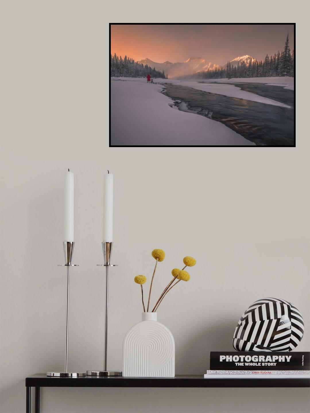 Early Bird Poster och Canvastavla