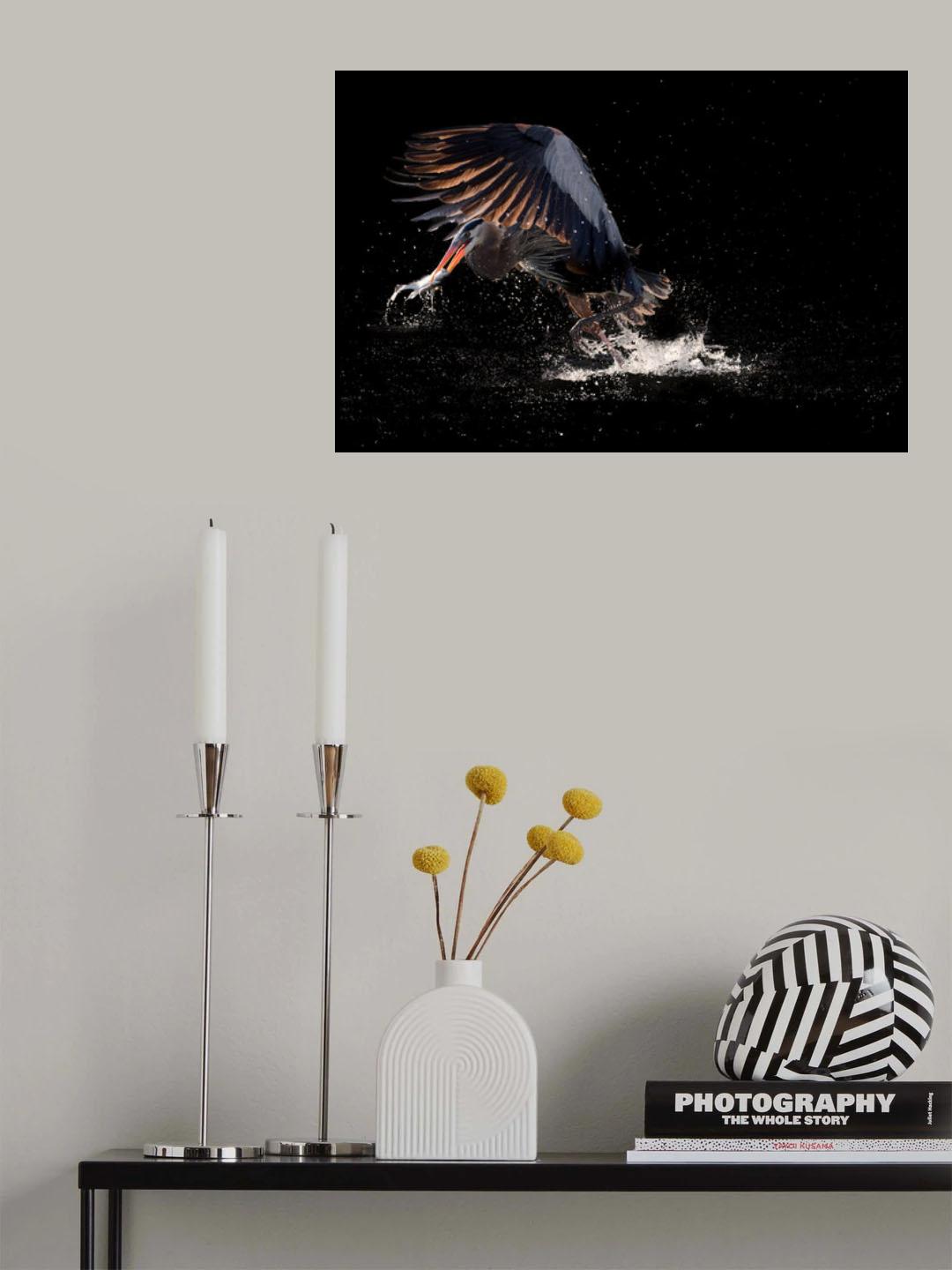 Running away with a fish for supper Poster och Canvastavla