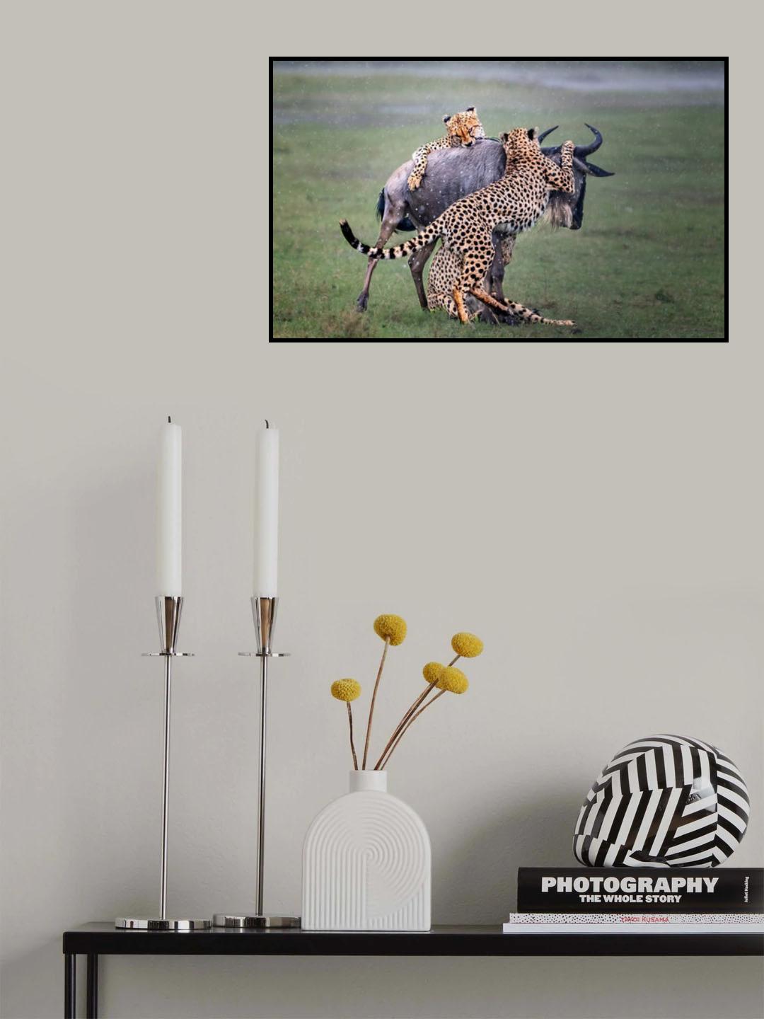 Fighting Poster och Canvastavla