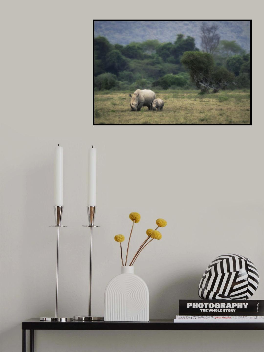 White Rhino Poster och Canvastavla