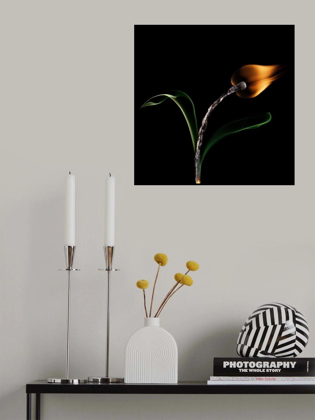 The Tulip Poster och Canvastavla