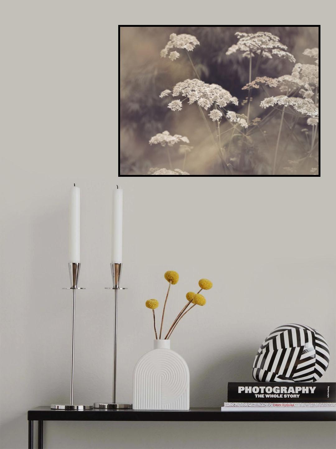 Wild Parsley Poster och Canvastavla