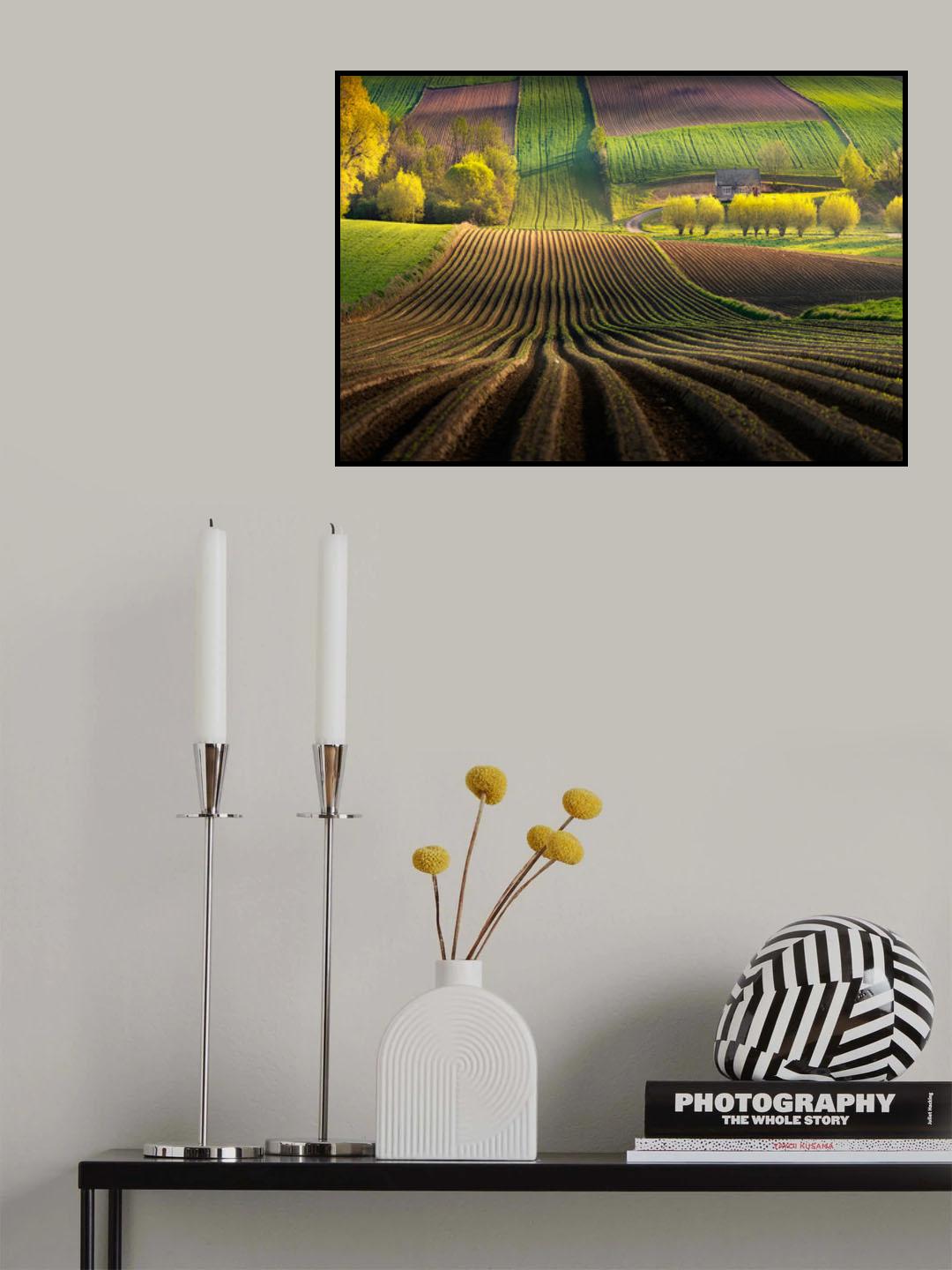 Shape Poster och Canvastavla