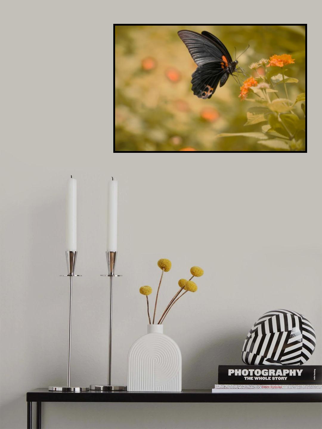 Flower dancer 01 Poster och Canvastavla