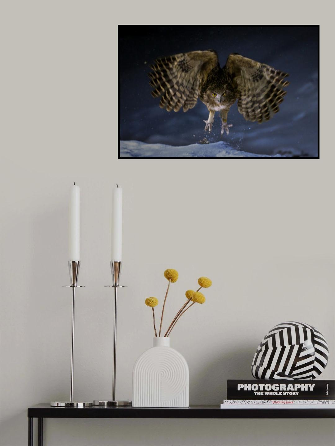 Blackistone's fish owl Poster och Canvastavla