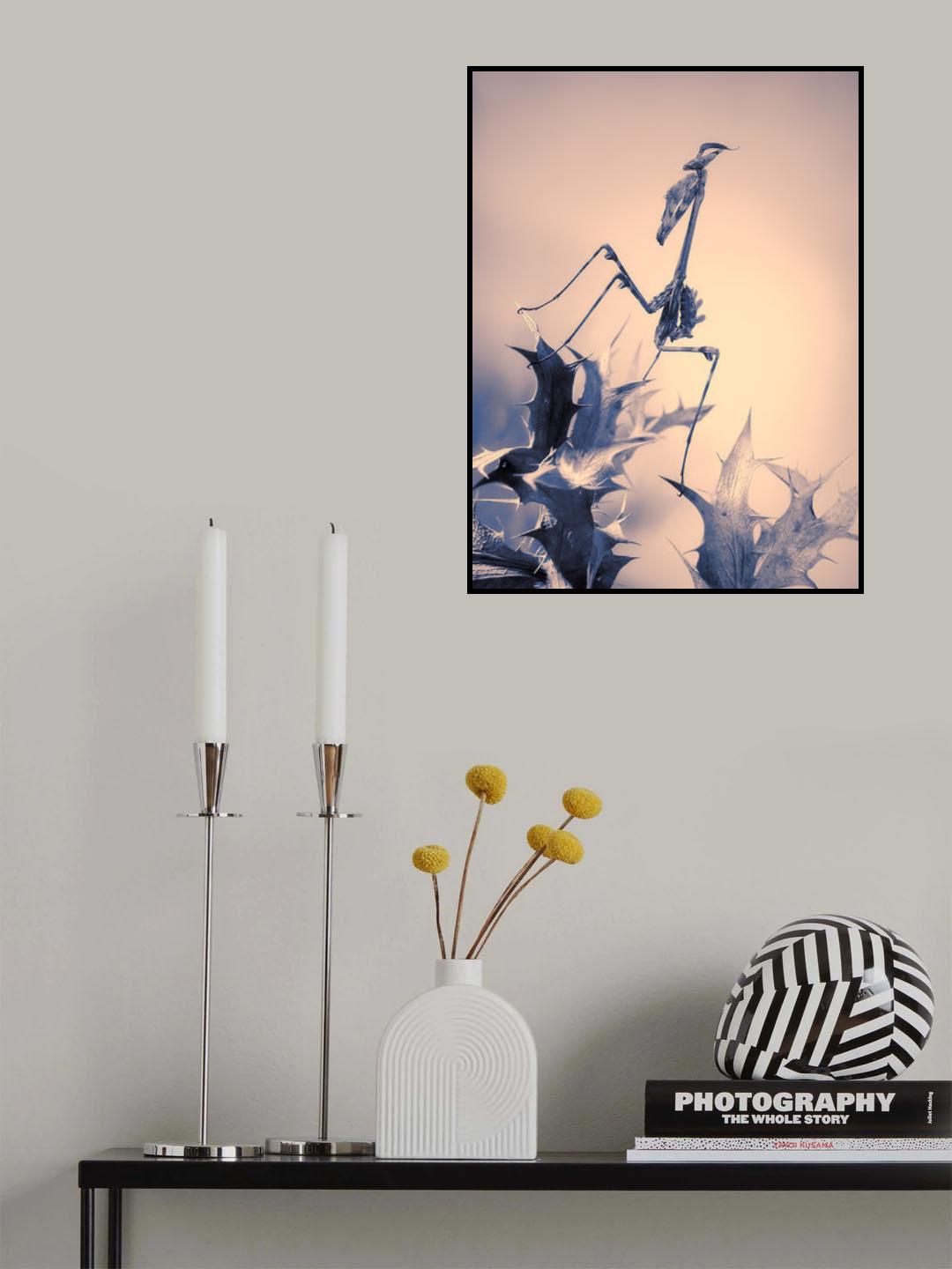 Mantis palo Poster och Canvastavla
