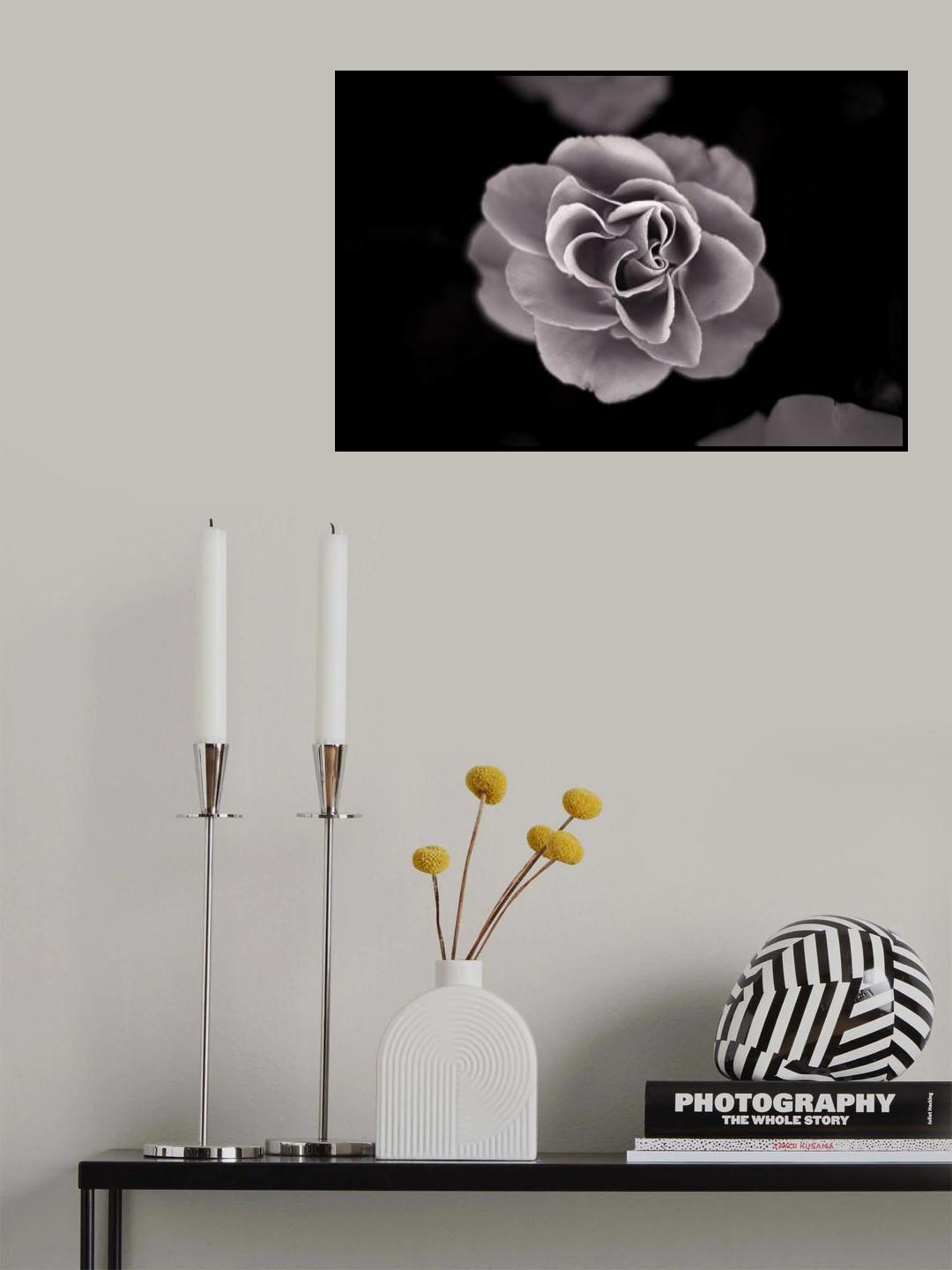Rose Poster och Canvastavla