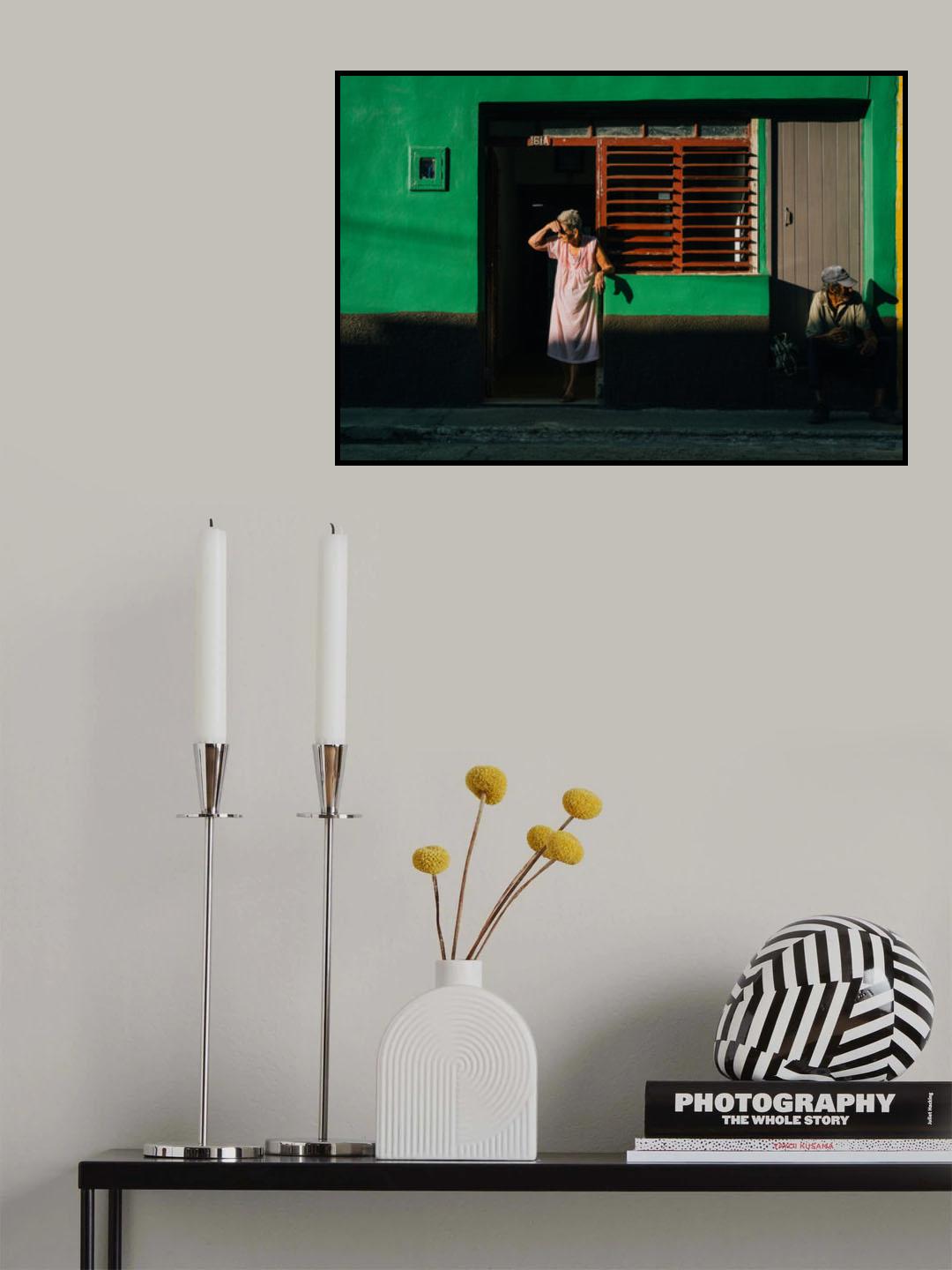 House 161 Poster och Canvastavla