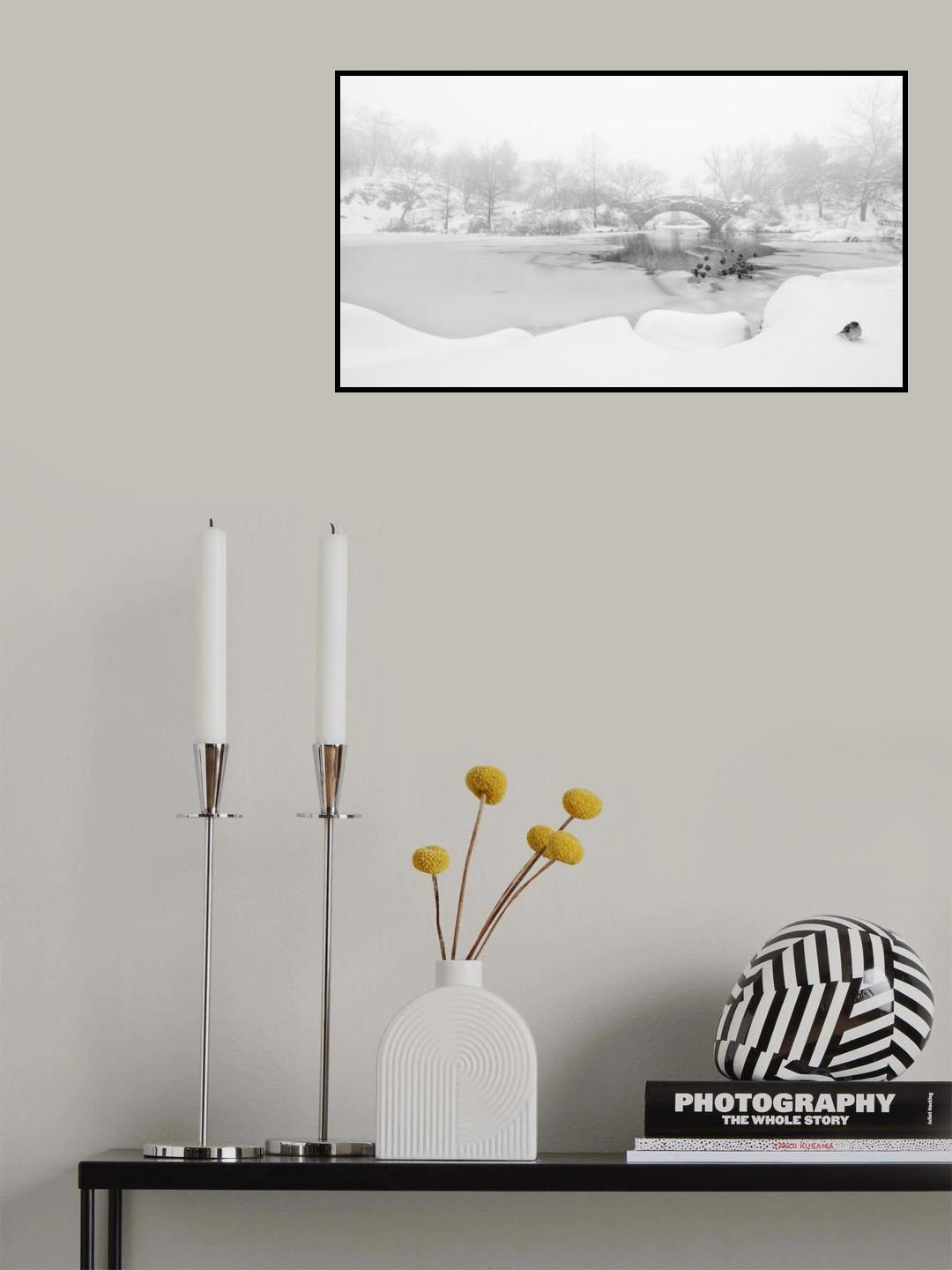 The first snow of central park Poster och Canvastavla
