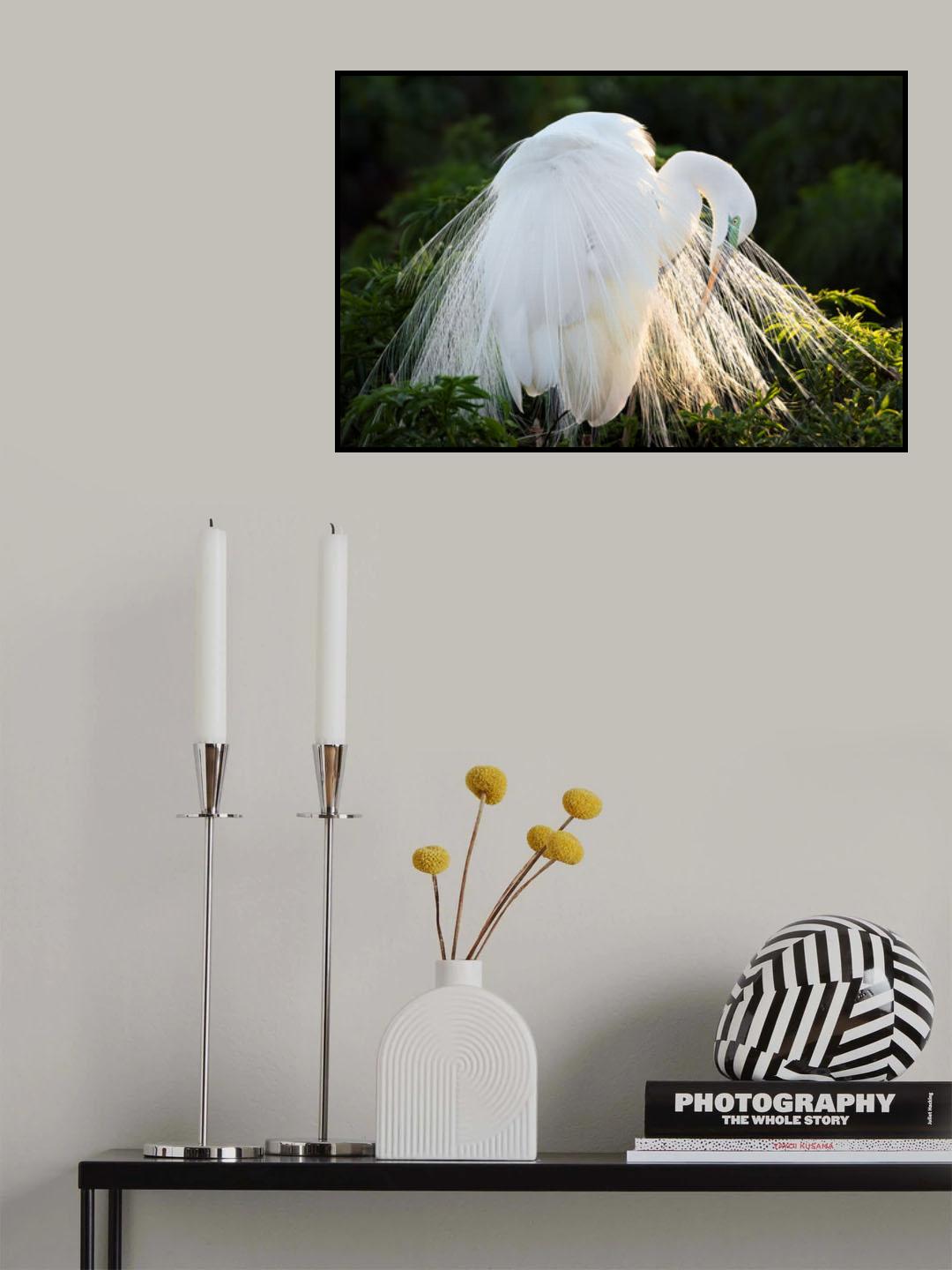 Princess of the Sun Poster och Canvastavla