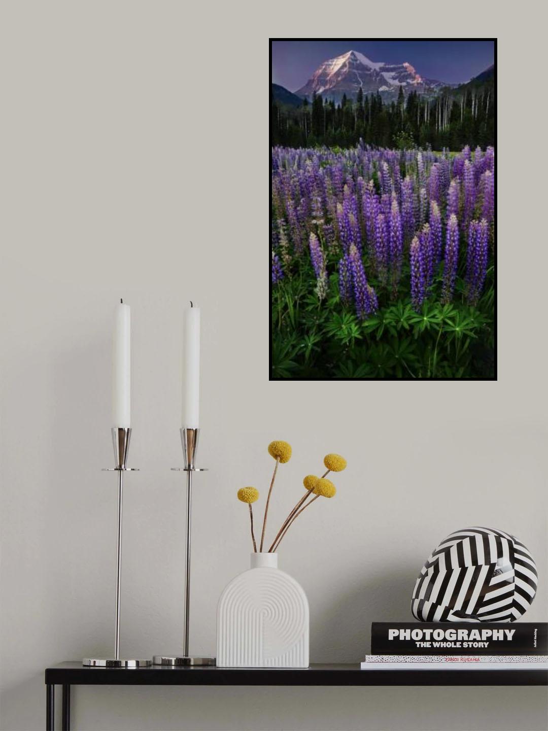 Mt Robson Poster och Canvastavla