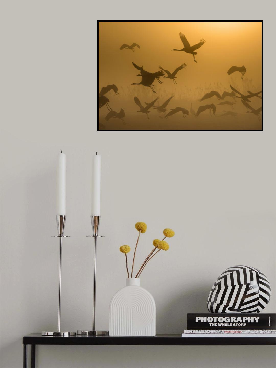 Sunrise with Cranes Poster och Canvastavla