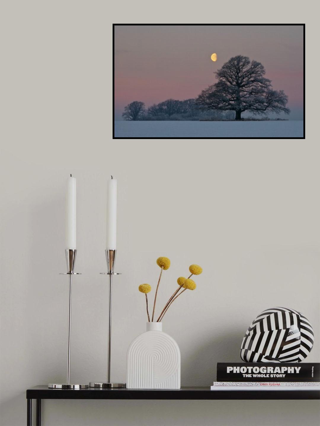 The Oak and The Moon Poster och Canvastavla
