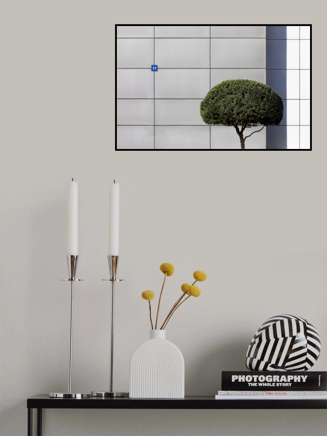 33 Poster och Canvastavla