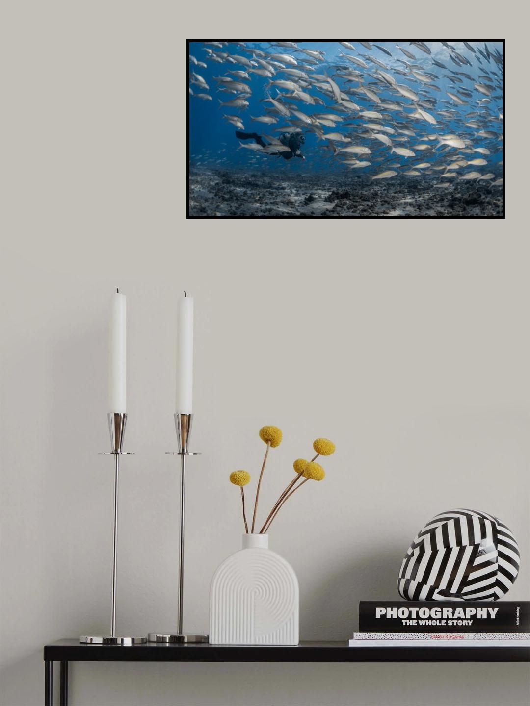 Be a fish ( again ) Poster och Canvastavla